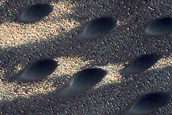 North Polar Duneforms and Frost