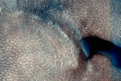Dune Survey