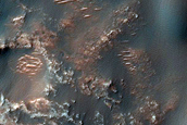 Dune Survey