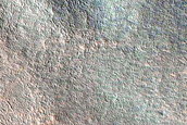 Gully Monitoring