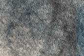 Acidalia Planitia