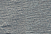 Candidate Recent Impact Site