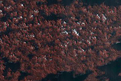 Dune Interaction with Residual Polar Ice