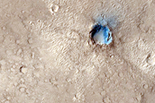 Thermal Anomaly in Young Lava Flows of Elysium Region