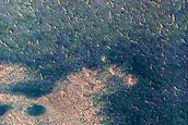Dune Interaction with Residual Polar Ice