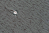 Small Crater on North Polar Layered Deposits
