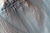 South-Facing Gullies
