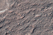 Possible Chloride-Rich Terrain in Northeast Terra Cimmeria