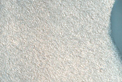 Classic Barchan Dune Monitoring
