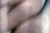 Potential Compound Dune