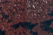 Dune Interaction with Residual Polar Ice