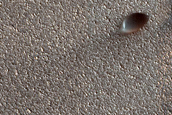 Dune Interaction with Residual Polar Ice West of Olympia Undae