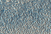Impact Monitoring in Arcadia Planitia