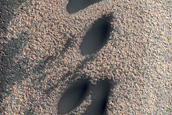 Dune Interaction with Residual Polar Ice