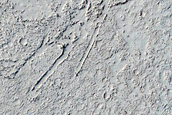 Platy-Ridged Lava in Elysium Planitia