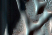 Dune Field