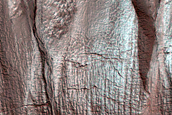 Gully Monitoring