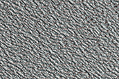 Terrain Sample