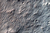 Monitor Gullies in Ariadnes Colles