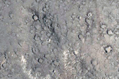 Thermal Anomaly in Young Lava Flows of Elysium Region