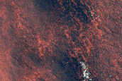 Northern Plains Monitoring