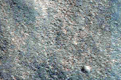 Crater with Rocky Interior on Northern Plains