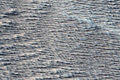 Candidate Recent Impact Site
