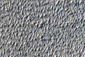 Monitoring New Impact Site