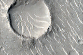 Pitted Cones in Isidis Dorsa