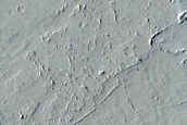 Candidate Recent Impact Site