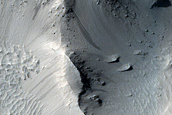 Terrain Sample