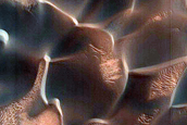 Dunes Dubbed Tleilax Sand Monitoring