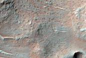 Dune Field