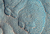Gully Monitoring