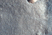 Arcadia Dorsa