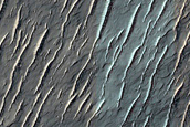 Terrain Sample