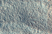 Gully and Frost Monitoring