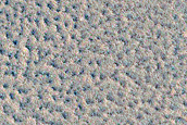Monitor Northern Plains Bright Patches