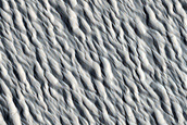 Monitoring Site in Northern Amazonis Planitia