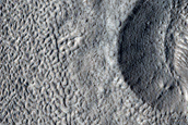 Glacier Layering Revealed by Impact Crater on Viscous Flow Features Surface