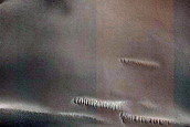 Scandia Cavi Polar Erg Dunes