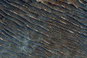 Phyllosilicate-Rich Terrain in Libya Montes 