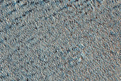 Terrain Sample