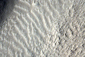 Fresh Impact Crater in Tempe Terra