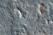 Terrain Sample
