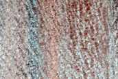 USGS Dune Database Entry Number 1563-579
