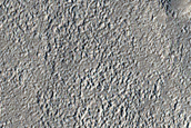 Arabia Terra