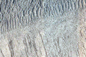 Sacra Fossae