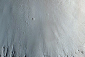 Terrain Sample