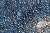 Terrain Sample